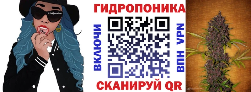 Меф Трубчевск