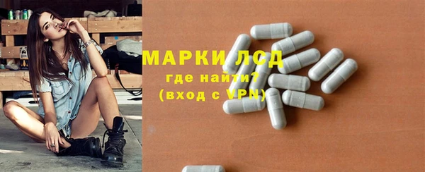 хмурый Абаза