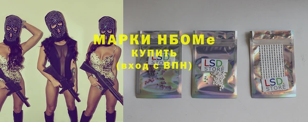 хмурый Абаза