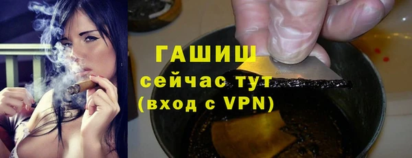 хмурый Абаза