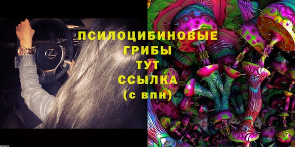хмурый Абаза