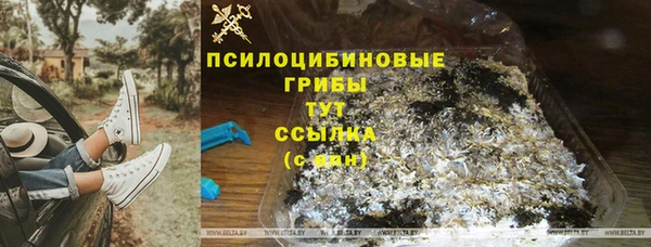 хмурый Абаза